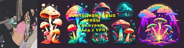 дурь Волоколамск