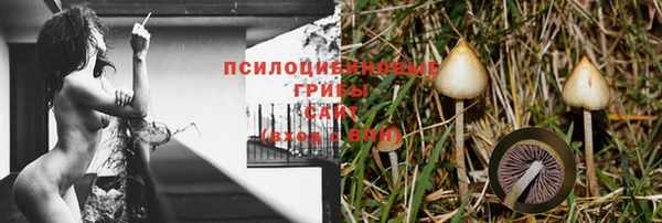 ALPHA-PVP Володарск
