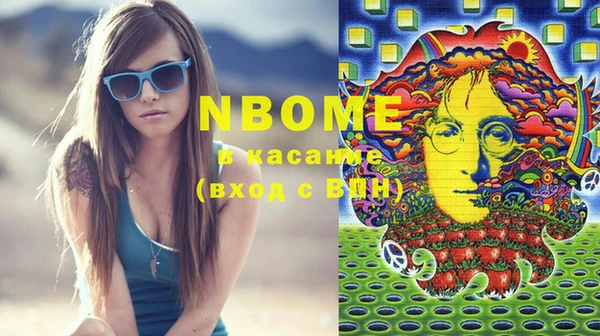 гидра Туринск