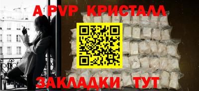 прущие крисы Кингисепп